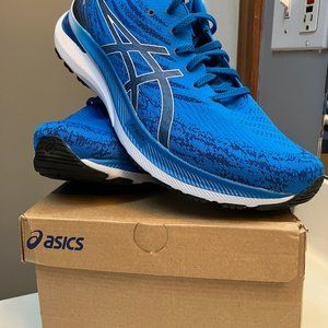 Mens Asics Gel-Kayano 29 Size 12 Medium Brand New (Retail $160)